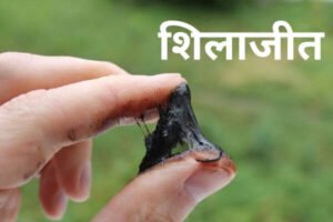 Read more about the article शिलाजीत (Shilajit)