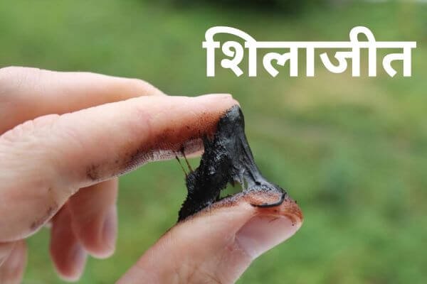 You are currently viewing शिलाजीत (Shilajit)