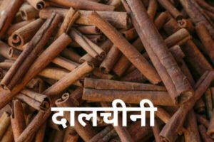 Read more about the article दालचीनी (Cinnamon)