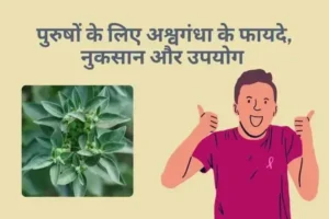 Read more about the article जानिए पुरुषों के लिए अश्वगंधा के 12 फायदे, साथ ही कुछ नुकसान भी